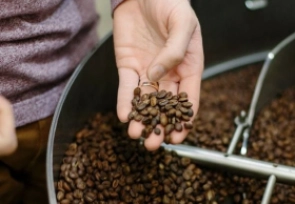 Classification of roasted coffee on the market